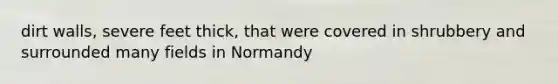 dirt walls, severe feet thick, that were covered in shrubbery and surrounded many fields in Normandy