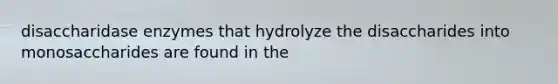 disaccharidase enzymes that hydrolyze the disaccharides into monosaccharides are found in the