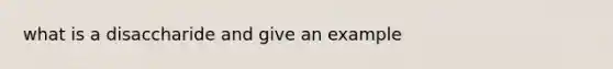 what is a disaccharide and give an example