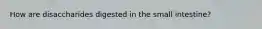 How are disaccharides digested in the small intestine?