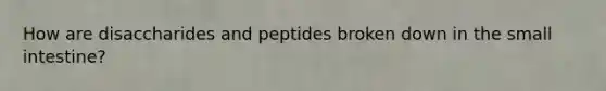 How are disaccharides and peptides broken down in the small intestine?