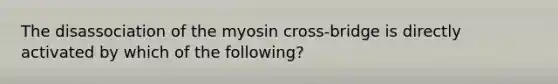 The disassociation of the myosin cross-bridge is directly activated by which of the following?