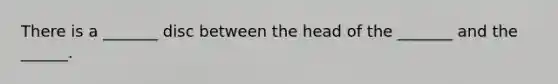 There is a _______ disc between the head of the _______ and the ______.