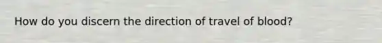 How do you discern the direction of travel of blood?