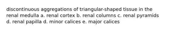 discontinuous aggregations of triangular-shaped tissue in the renal medulla a. renal cortex b. renal columns c. renal pyramids d. renal papilla d. minor calices e. major calices