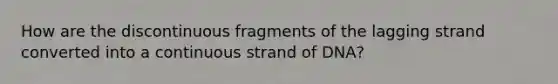 How are the discontinuous fragments of the lagging strand converted into a continuous strand of DNA?