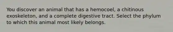 You discover an animal that has a hemocoel, a chitinous exoskeleton, and a complete digestive tract. Select the phylum to which this animal most likely belongs.