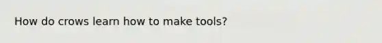 How do crows learn how to make tools?