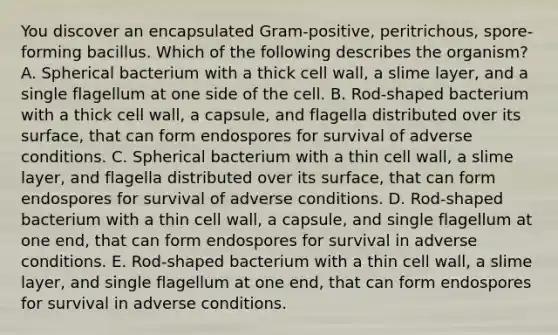 You discover an encapsulated Gram-positive, peritrichous, spore-forming bacillus. Which of the following describes the organism? A. Spherical bacterium with a thick cell wall, a slime layer, and a single flagellum at one side of the cell. B. Rod-shaped bacterium with a thick cell wall, a capsule, and flagella distributed over its surface, that can form endospores for survival of adverse conditions. C. Spherical bacterium with a thin cell wall, a slime layer, and flagella distributed over its surface, that can form endospores for survival of adverse conditions. D. Rod-shaped bacterium with a thin cell wall, a capsule, and single flagellum at one end, that can form endospores for survival in adverse conditions. E. Rod-shaped bacterium with a thin cell wall, a slime layer, and single flagellum at one end, that can form endospores for survival in adverse conditions.