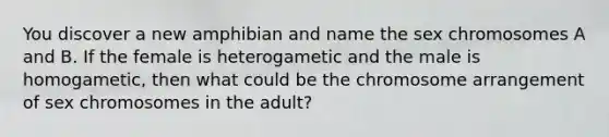 You discover a new amphibian and name the sex chromosomes A and B. If the female is heterogametic and the male is homogametic, then what could be the chromosome arrangement of sex chromosomes in the adult?