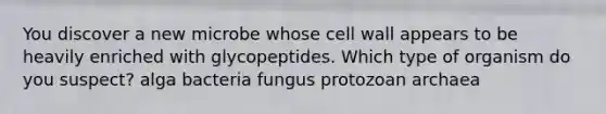 You discover a new microbe whose cell wall appears to be heavily enriched with glycopeptides. Which type of organism do you suspect? alga bacteria fungus protozoan archaea