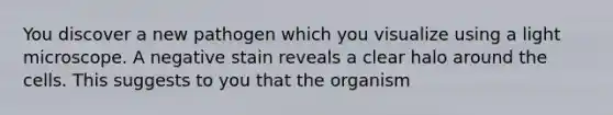 You discover a new pathogen which you visualize using a light microscope. A negative stain reveals a clear halo around the cells. This suggests to you that the organism