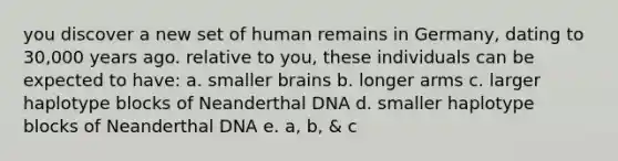 you discover a new set of human remains in Germany, dating to 30,000 years ago. relative to you, these individuals can be expected to have: a. smaller brains b. longer arms c. larger haplotype blocks of Neanderthal DNA d. smaller haplotype blocks of Neanderthal DNA e. a, b, & c