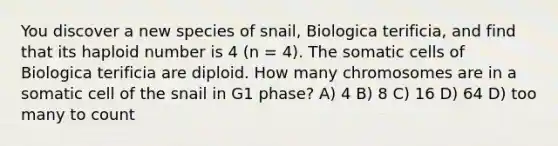 You discover a new species of snail, Biologica terificia, and find that its haploid number is 4 (n = 4). The somatic cells of Biologica terificia are diploid. How many chromosomes are in a somatic cell of the snail in G1 phase? A) 4 B) 8 C) 16 D) 64 D) too many to count