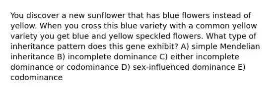 You discover a new sunflower that has blue flowers instead of yellow. When you cross this blue variety with a common yellow variety you get blue and yellow speckled flowers. What type of inheritance pattern does this gene exhibit? A) simple Mendelian inheritance B) incomplete dominance C) either incomplete dominance or codominance D) sex-influenced dominance E) codominance