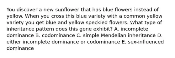 You discover a new sunflower that has blue flowers instead of yellow. When you cross this blue variety with a common yellow variety you get blue and yellow speckled flowers. What type of inheritance pattern does this gene exhibit? A. incomplete dominance B. codominance C. simple Mendelian inheritance D. either incomplete dominance or codominance E. sex-influenced dominance