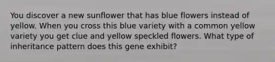 You discover a new sunflower that has blue flowers instead of yellow. When you cross this blue variety with a common yellow variety you get clue and yellow speckled flowers. What type of inheritance pattern does this gene exhibit?