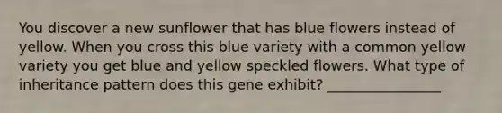 You discover a new sunflower that has blue flowers instead of yellow. When you cross this blue variety with a common yellow variety you get blue and yellow speckled flowers. What type of inheritance pattern does this gene exhibit? ________________