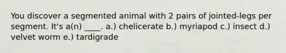 You discover a segmented animal with 2 pairs of jointed-legs per segment. It's a(n) ____. a.) chelicerate b.) myriapod c.) insect d.) velvet worm e.) tardigrade