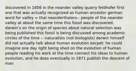 discovered in 1856 in the neander valley quarry feldhofer first one that was actually recognized as human ancestor german word for valley = thal neanderthalers-- people of the neander valley at about the same time this fossil was discovered, darwin's on the origin of species about natural selection was being published this fossil is being discussed among academic circles of the time -- naturalists (not biologists) darwin himself did not actually talk about human evolution excpet: he could imagine one day light being shed on the evolution of human people reading his work at the time connect his ideas to human evolution, and he does eventually in 1871 publish the descent of man