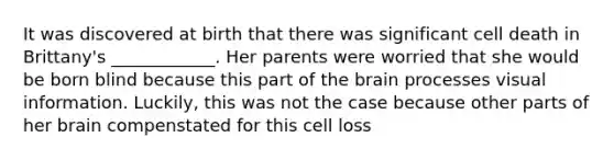 It was discovered at birth that there was significant cell death in Brittany's ____________. Her parents were worried that she would be born blind because this part of the brain processes visual information. Luckily, this was not the case because other parts of her brain compenstated for this cell loss