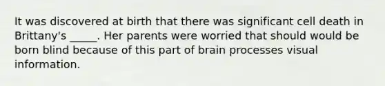 It was discovered at birth that there was significant cell death in Brittany's _____. Her parents were worried that should would be born blind because of this part of brain processes visual information.