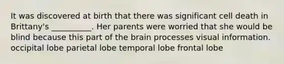 It was discovered at birth that there was significant cell death in Brittany's __________. Her parents were worried that she would be blind because this part of the brain processes visual information. occipital lobe parietal lobe temporal lobe frontal lobe