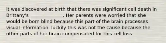 It was discovered at birth that there was significant cell death in Brittany's ______________. Her parents were worried that she would be born blind because this part of the brain processes visual information. luckily this was not the cause because the other parts of her brain compensated for this cell loss.