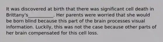 It was discovered at birth that there was significant cell death in Brittany's___________. Her parents were worried that she would be born blind because this part of the brain processes visual information. Luckily, this was not the case because other parts of her brain compensated for this cell loss.