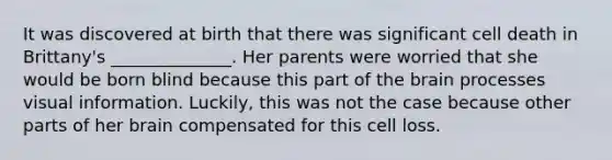 It was discovered at birth that there was significant cell death in Brittany's ______________. Her parents were worried that she would be born blind because this part of the brain processes visual information. Luckily, this was not the case because other parts of her brain compensated for this cell loss.