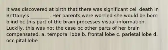 It was discovered at birth that there was significant cell death in Brittany's ________. Her parents were worried she would be born blind bc this part of the brain processes visual information. Luckily, this was not the case bc other parts of her brain compensated. a. temporal lobe b. frontal lobe c. parietal lobe d. occipital lobe