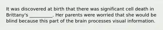 It was discovered at birth that there was significant cell death in Brittany's __________. Her parents were worried that she would be blind because this part of the brain processes visual information.