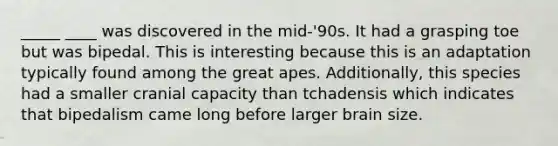 _____ ____ was discovered in the mid-'90s. It had a grasping toe but was bipedal. This is interesting because this is an adaptation typically found among the great apes. Additionally, this species had a smaller cranial capacity than tchadensis which indicates that bipedalism came long before larger brain size.