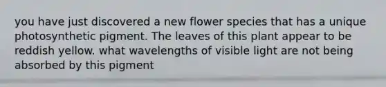 you have just discovered a new flower species that has a unique photosynthetic pigment. The leaves of this plant appear to be reddish yellow. what wavelengths of visible light are not being absorbed by this pigment