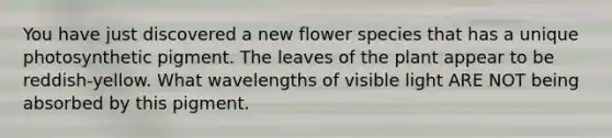 You have just discovered a new flower species that has a unique photosynthetic pigment. The leaves of the plant appear to be reddish-yellow. What wavelengths of visible light ARE NOT being absorbed by this pigment.