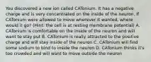 You discovered a new ion called CATonium. It has a negative charge and is very concentrated on the inside of the neuron. If CATonium were allowed to move wherever it wanted, where would it go? (Hint: the cell is at resting membrane potential) A. CATonium is comfortable on the inside of the neuron and will want to stay put B. CATonium is really attracted to the positive charge and will stay inside of the neuron C. CATonium will find some sodium to bind to inside the neuron D. CATonium thinks it's too crowded and will want to move outside the neuron