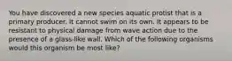 You have discovered a new species aquatic protist that is a primary producer. It cannot swim on its own. It appears to be resistant to physical damage from wave action due to the presence of a glass-like wall. Which of the following organisms would this organism be most like?