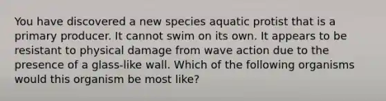 You have discovered a new species aquatic protist that is a primary producer. It cannot swim on its own. It appears to be resistant to physical damage from wave action due to the presence of a glass-like wall. Which of the following organisms would this organism be most like?