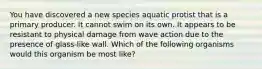 You have discovered a new species aquatic protist that is a primary producer. It cannot swim on its own. It appears to be resistant to physical damage from wave action due to the presence of glass-like wall. Which of the following organisms would this organism be most like?