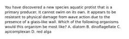 You have discovered a new species aquatic protist that is a primary producer. It cannot swim on its own. It appears to be resistant to physical damage from wave action due to the presence of a glass-like wall. Which of the following organisms would this organism be most like? A. diatom B. dinoflagellate C. apicomplexan D. red alga