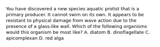 You have discovered a new species aquatic protist that is a primary producer. It cannot swim on its own. It appears to be resistant to physical damage from wave action due to the presence of a glass-like wall. Which of the following organisms would this organism be most like? A. diatom B. dinoflagellate C. apicomplexan D. red alga