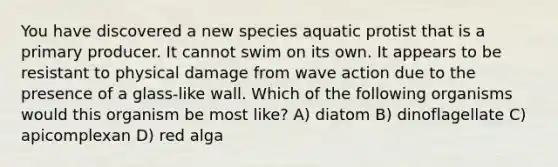 You have discovered a new species aquatic protist that is a primary producer. It cannot swim on its own. It appears to be resistant to physical damage from wave action due to the presence of a glass-like wall. Which of the following organisms would this organism be most like? A) diatom B) dinoflagellate C) apicomplexan D) red alga