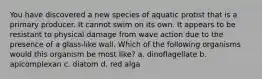 You have discovered a new species of aquatic protist that is a primary producer. It cannot swim on its own. It appears to be resistant to physical damage from wave action due to the presence of a glass-like wall. Which of the following organisms would this organism be most like? a. dinoflagellate b. apicomplexan c. diatom d. red alga