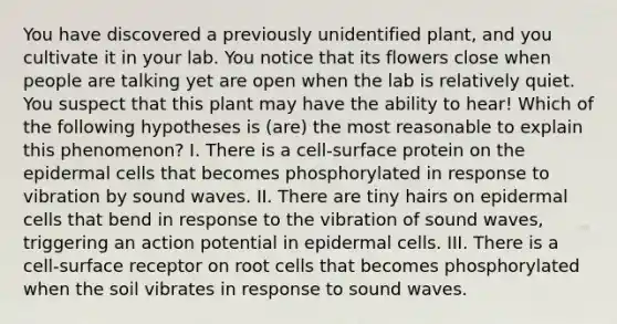 You have discovered a previously unidentified plant, and you cultivate it in your lab. You notice that its flowers close when people are talking yet are open when the lab is relatively quiet. You suspect that this plant may have the ability to hear! Which of the following hypotheses is (are) the most reasonable to explain this phenomenon? I. There is a cell-surface protein on the epidermal cells that becomes phosphorylated in response to vibration by sound waves. II. There are tiny hairs on epidermal cells that bend in response to the vibration of sound waves, triggering an action potential in epidermal cells. III. There is a cell-surface receptor on root cells that becomes phosphorylated when the soil vibrates in response to sound waves.