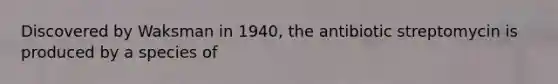 Discovered by Waksman in 1940, the antibiotic streptomycin is produced by a species of