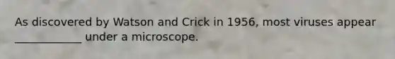As discovered by Watson and Crick in 1956, most viruses appear ____________ under a microscope.