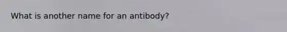 What is another name for an antibody?