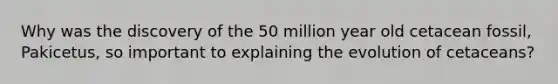 Why was the discovery of the 50 million year old cetacean fossil, Pakicetus, so important to explaining the evolution of cetaceans?