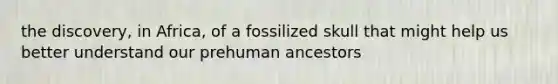 the discovery, in Africa, of a fossilized skull that might help us better understand our prehuman ancestors