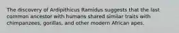 The discovery of Ardipithicus Ramidus suggests that the last common ancestor with humans shared similar traits with chimpanzees, gorillas, and other modern African apes.